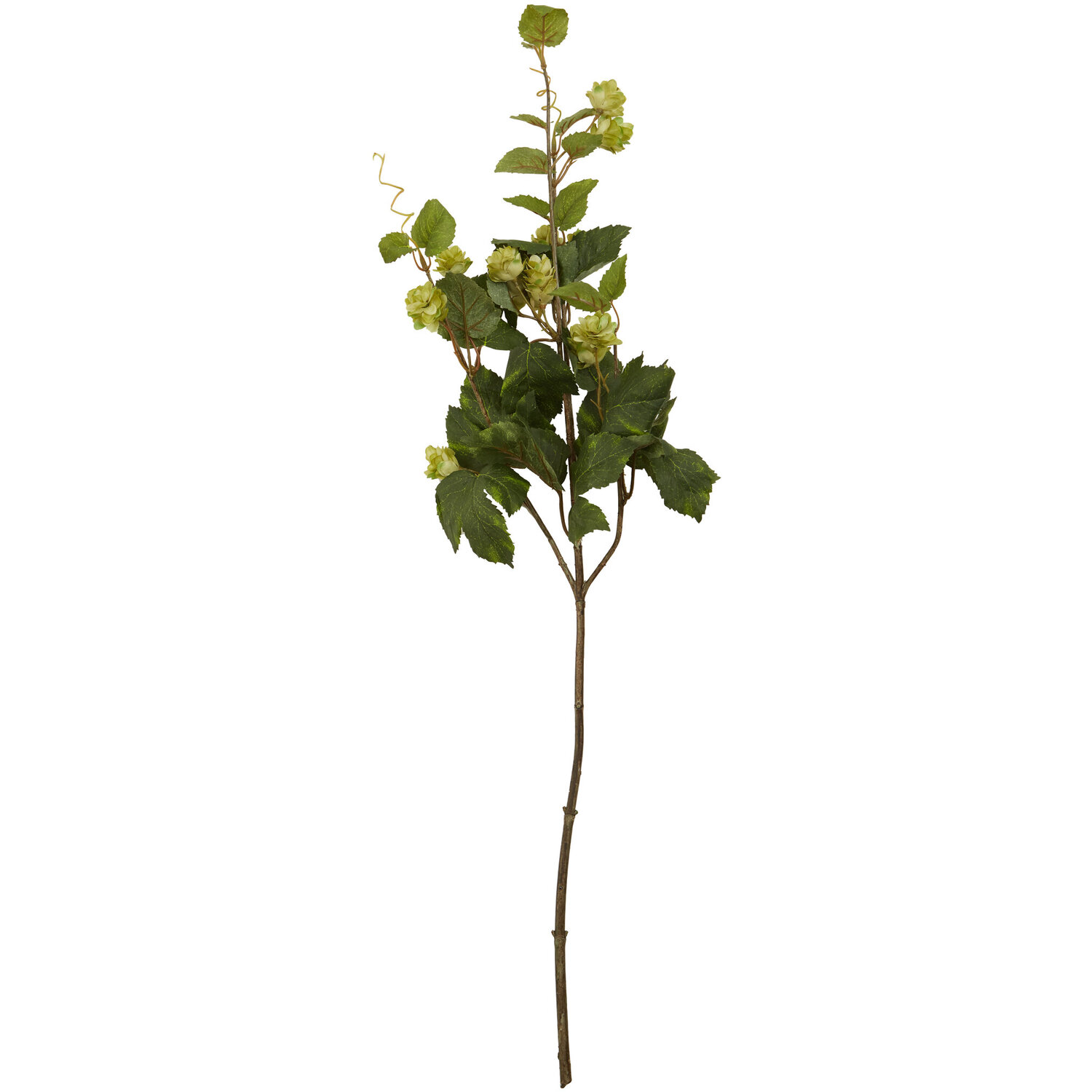 Fiori Green Hop Flower Spray Stem - Green