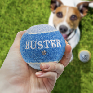 Pre-personalised Dog Ball Toy - Buster - Over 100 Options