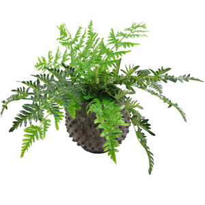 Luxury Artificial Evergreen Fern Plant