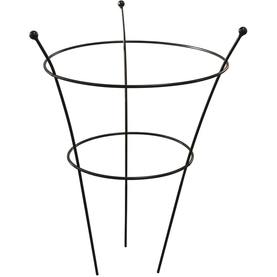 Large Peony or Herbaceous Plant Frame