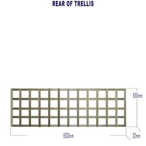  shot 6631005
