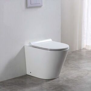 Limoge Baku Back-to-Wall Toilet