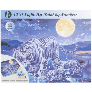 LED Light Up Paint By Numbers