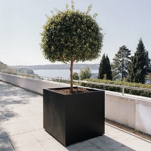 Garden Square Planter - Contemporary Light Concrete Outdoor Plant Pot