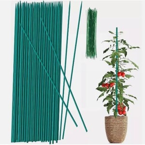 Pack of 50 Bamboo Garden Canes Plant Support Sticks 30cm