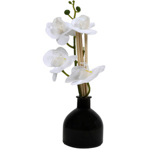 Black Oud Orchid Reed Diffuser