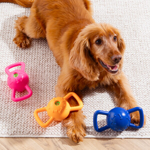 Giggle Ball with Handle