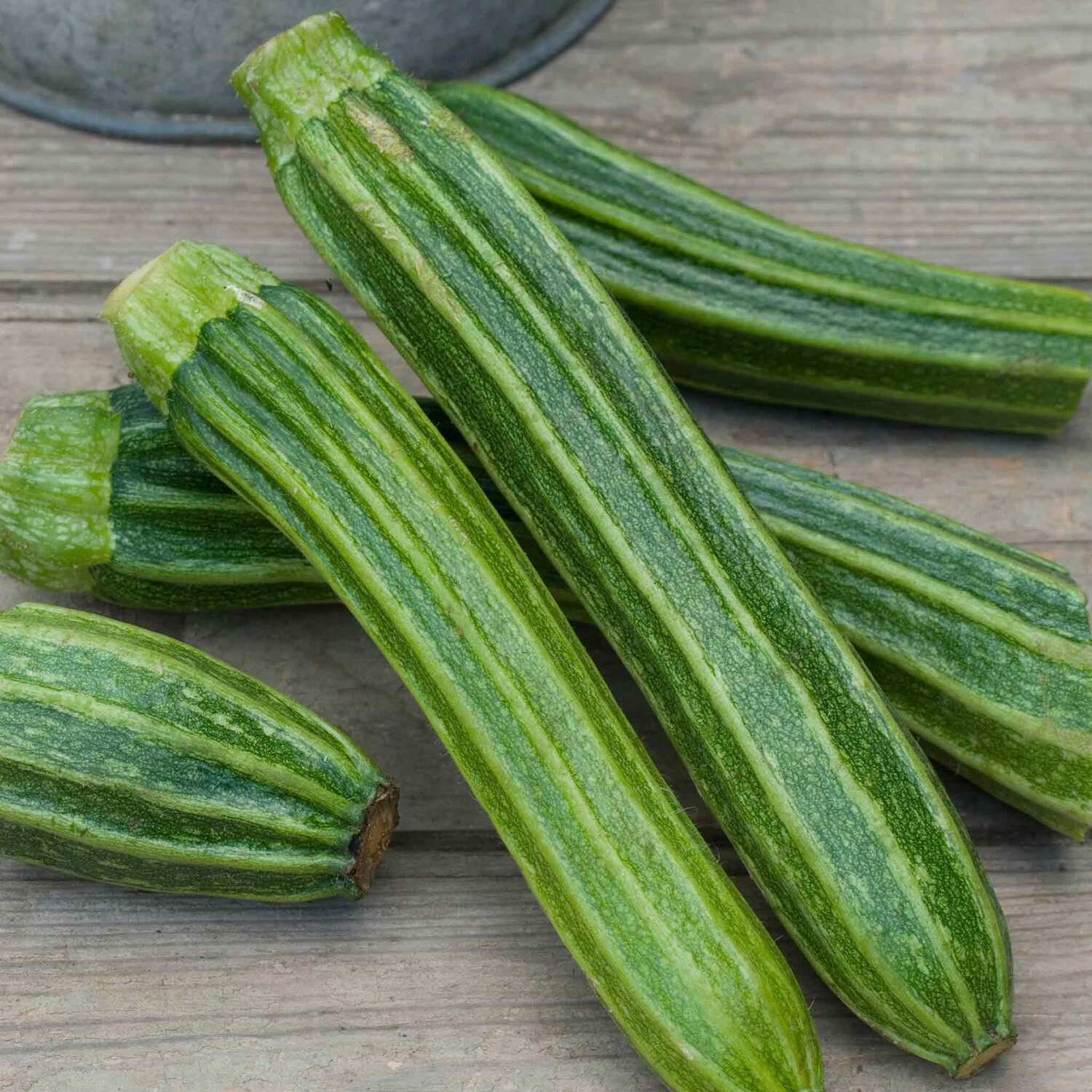 Marshalls Garden Potimarron Squash Seeds - Chestnut Pumpkin, 20 Seeds - Green