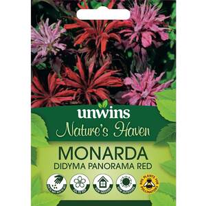 Marshalls Garden Monarda 'Panorama Red' Seeds - Crimson scented blooms, 40 seeds, 75 cm