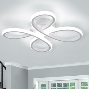 Ceiling Light