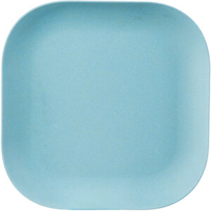 Eden Blue Bamboo Fibre Dinner Plate