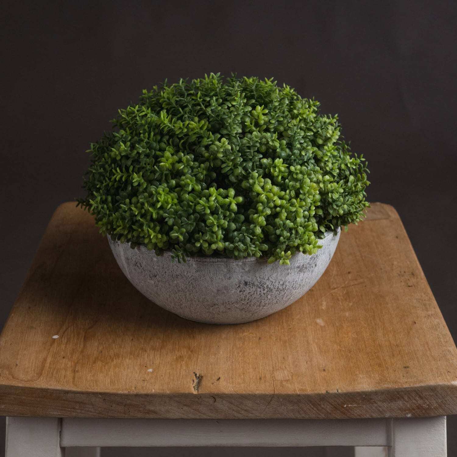 Small Artificial Hebe Globe in Stone Effect Pot - Green