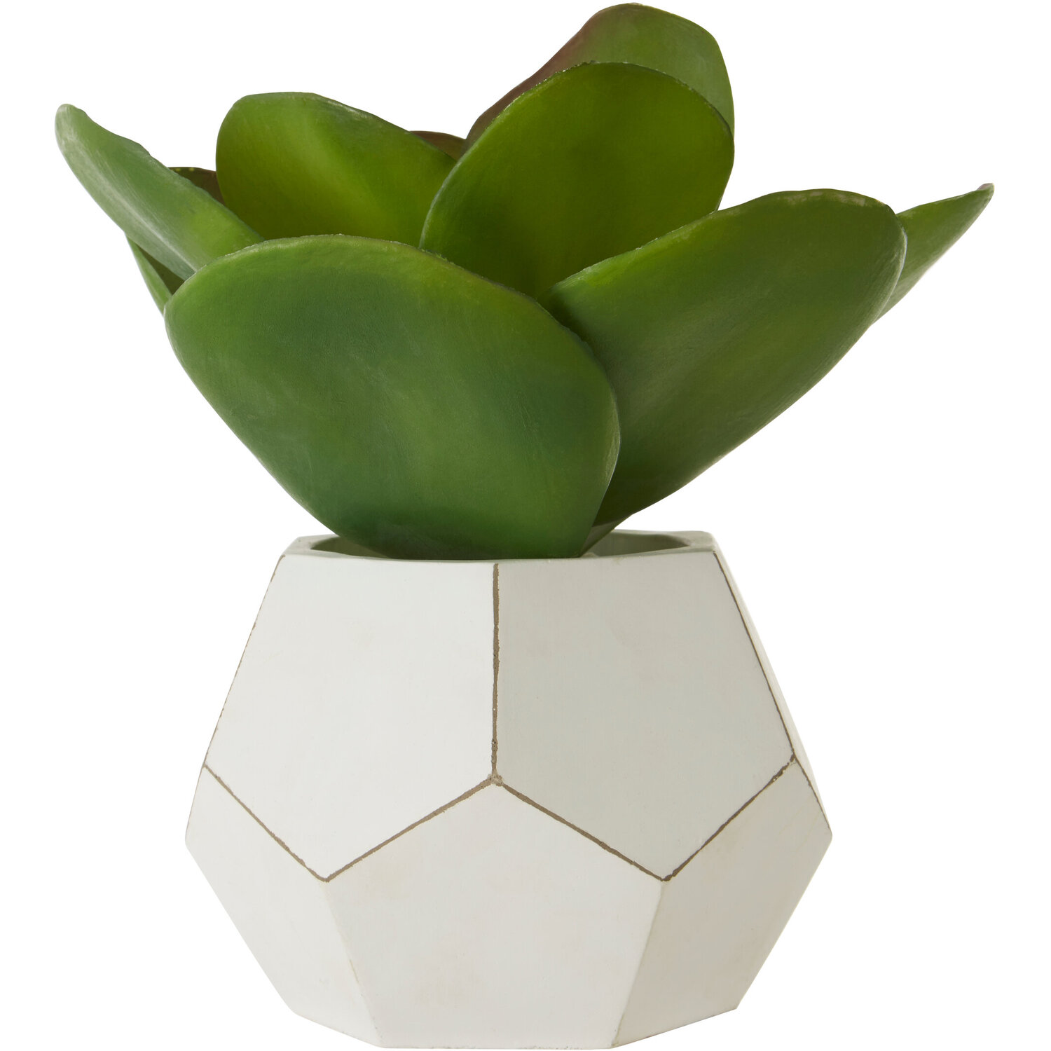 Fiori White Cement Pot Succulent - White