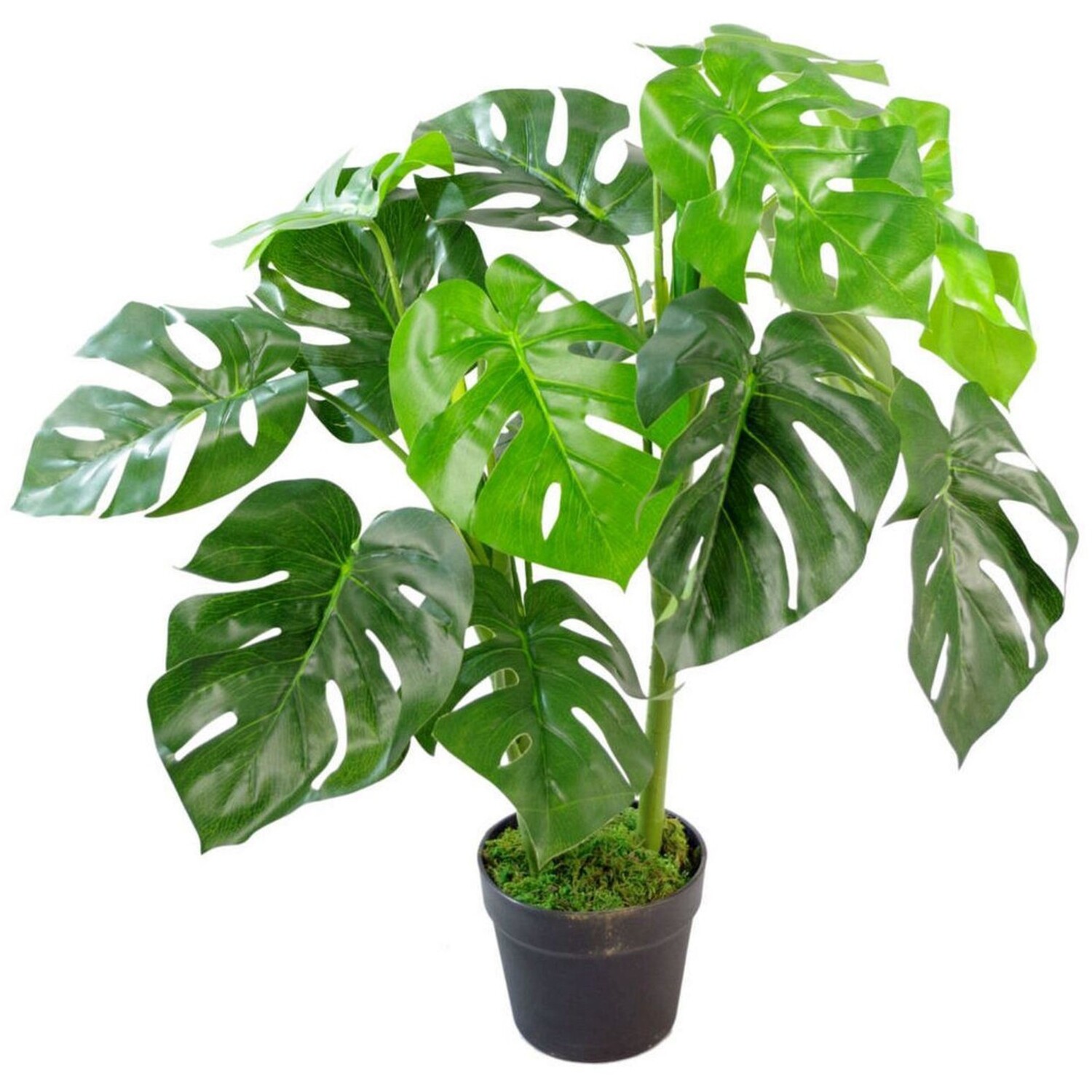 Artificial Monstera Plant In Moss Pot Realistic Design - Green
