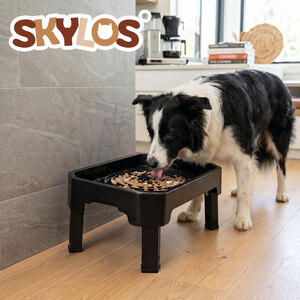 Raised Dog Bowl 4-Height Adjustable Feeding Station Full Set Black