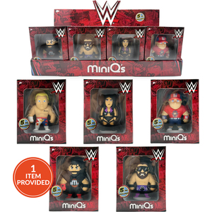 WWE Mini Figures