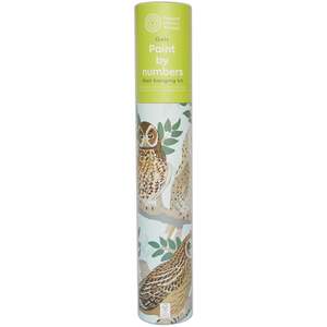 Natural History Museum Paint by Numbers, Owls, 500 x 400mm