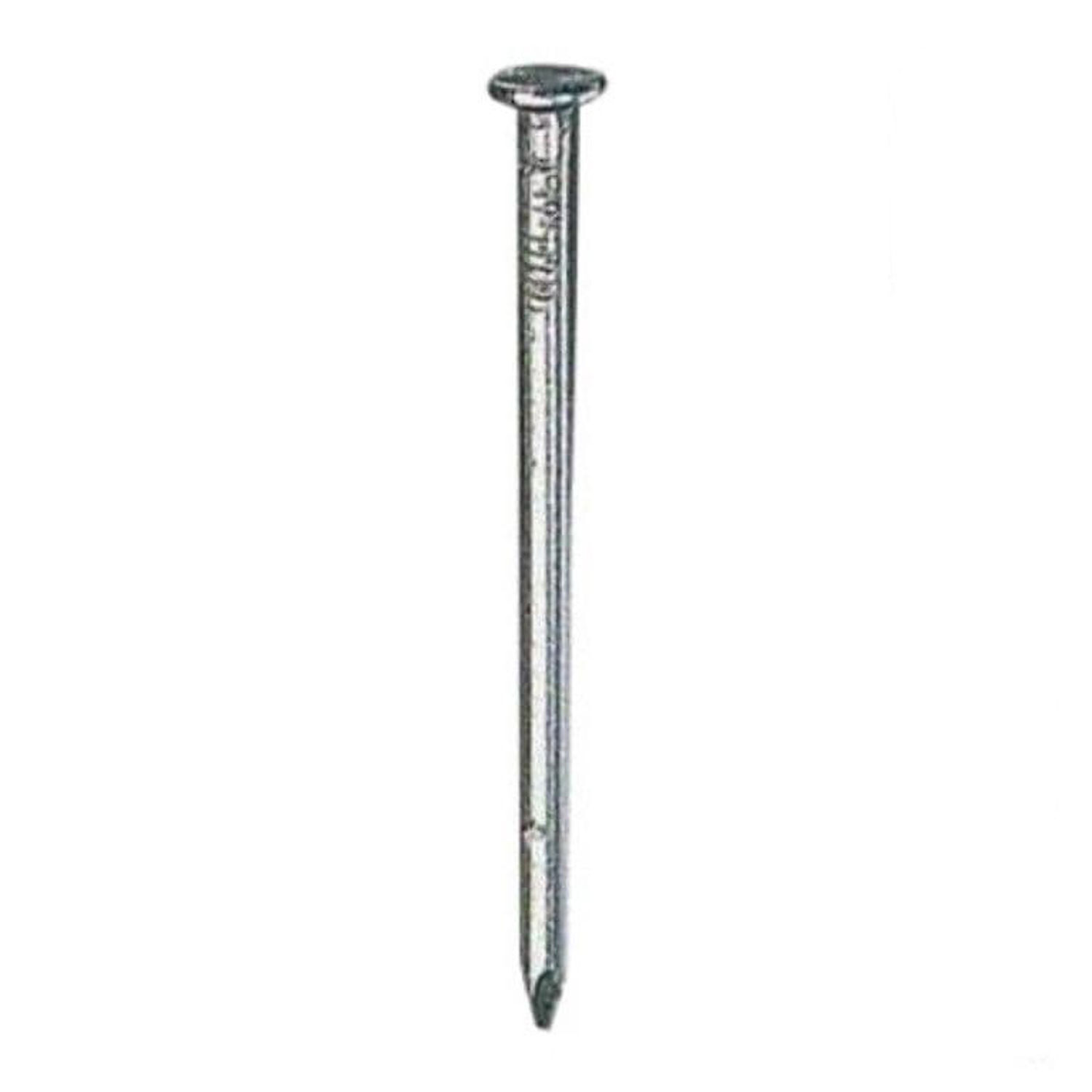 Securfix Trade Pack Bright Round Nails - Silver