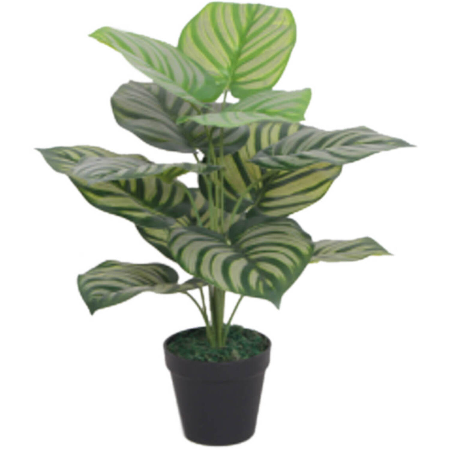 Leaf Artificial Green Stripe Plant - Green