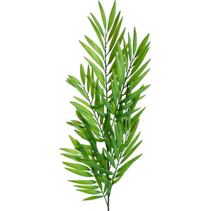 Bamboo Fern Stem