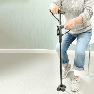 Get Up and Go Walking Stick with 2 Handles and LED Light