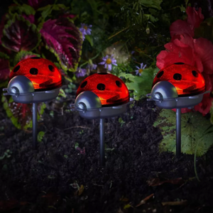 Set of 3 Ladybird Solar Lights