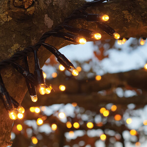 Cluster Lights Black Rubber IP65 CG 50M