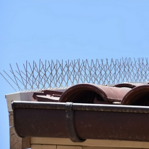 Fence Wall Spike P