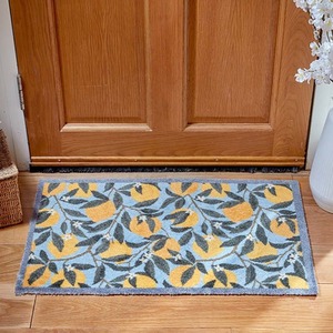 Home Entrance Door Mats