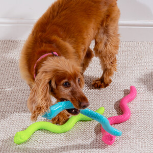 Squeaky Treat Snake