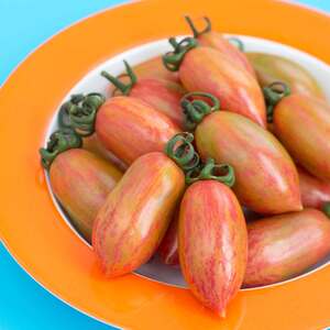 Marshalls Garden Pink Tiger Tomato Seeds, Pack of 10, Plum-Shaped Pink and Gold Fruits