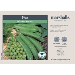 Marshalls Garden - Kelvedon Wonder Pea Seeds - RHS AGM