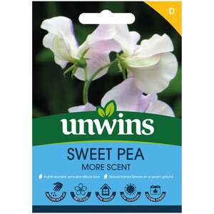 Unwins Sweet Pea 'More Scent' Spencer-type Seeds, Salmon-pink on Cream, Fragrant, 21 Seeds