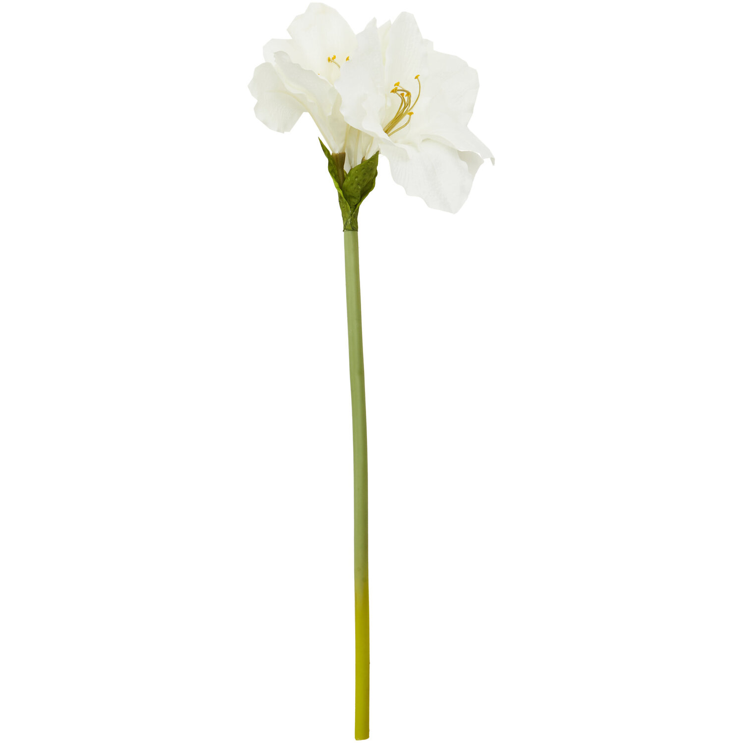 Fiori Ivory Amarylilis Flower Stem - White