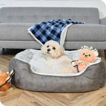 Dog Beds & Blankets