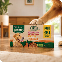 Dog Food & Treats