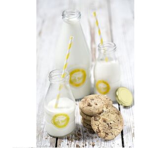 3x Kilner Glass Milk Bottle 1 Pint 568ml Twist Top Milk Juice Bottle