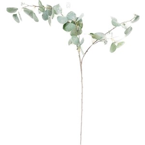 Shimmer Silver Dollar Stem