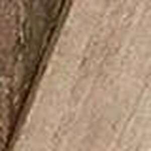  shot 18907884