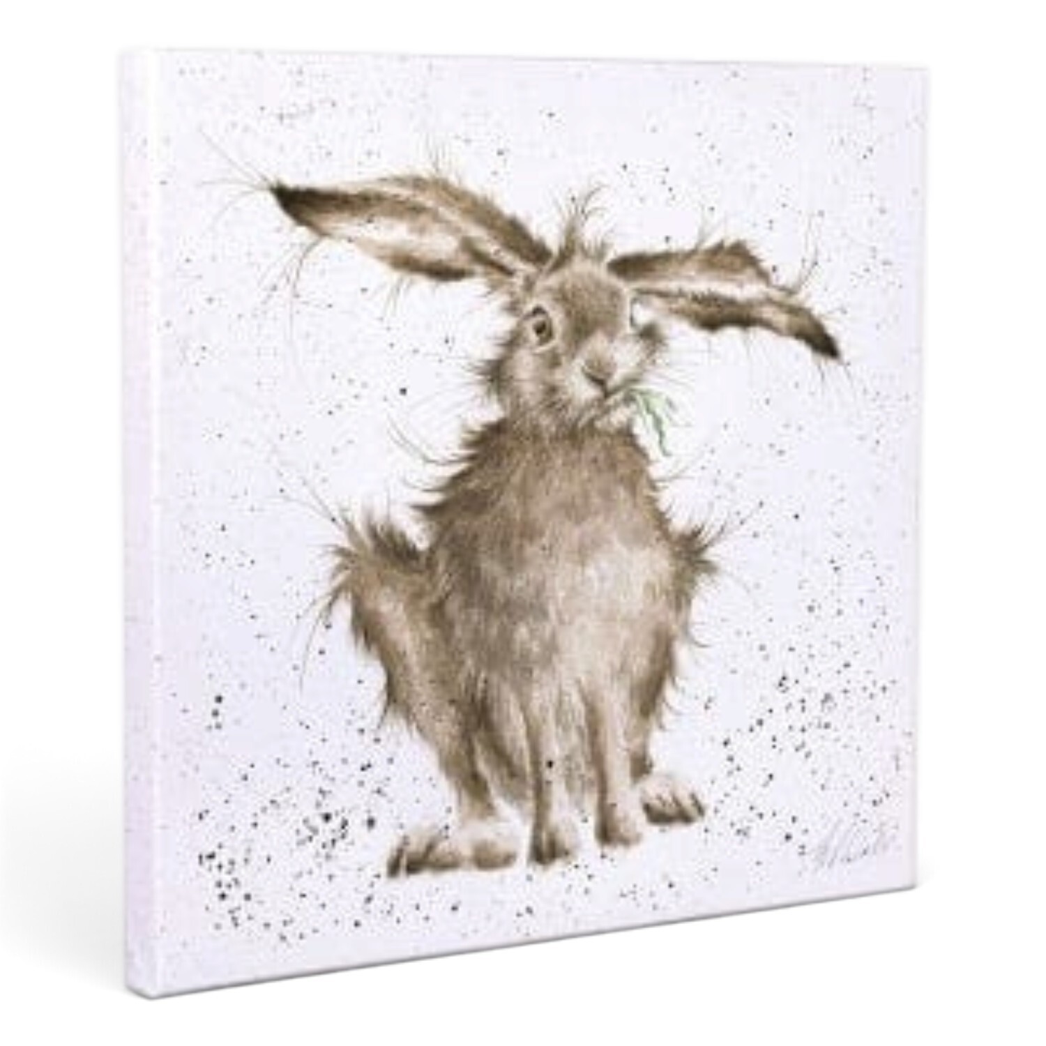 Wrendale Designs 'Hare-brained' Home Accessory Small Canvas - New Home Gift - Image 4