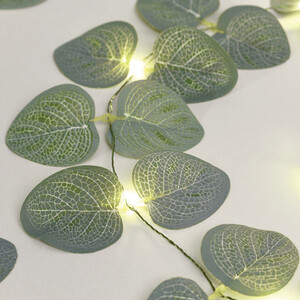Eucalyptus String Light