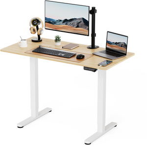 Medium Electric Standing Desk with Adjustable Height