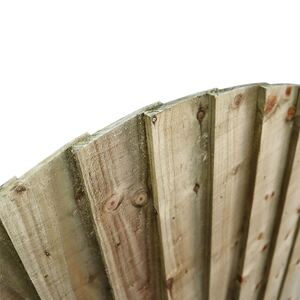  shot 5573217