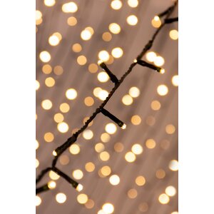  shot 6139014