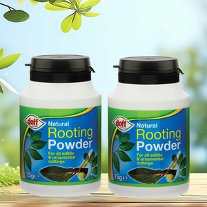Natural Plant Rooting Powder
