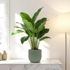 Ribbed Matte Sage Green Ceramic Indoor Plant Pot