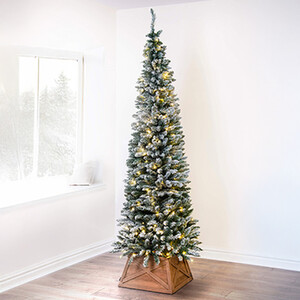 The Snowy Pencil Tree