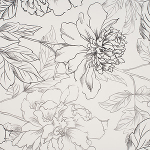  shot 11221276