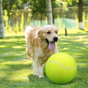 Kids Outdoor Giant Toy Tennis Ball
