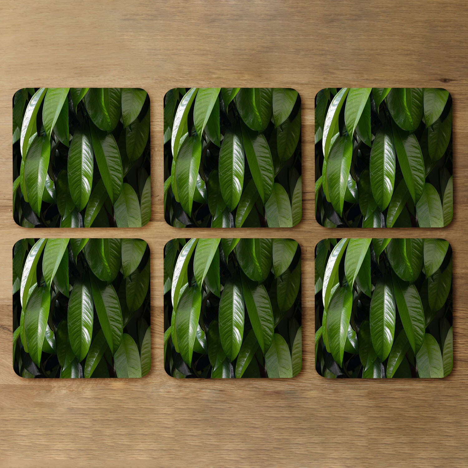 Closeup of beautiful glossy green leaves Designer Coaster Set - Green